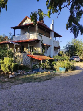 Villa Dorothy360